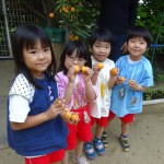 WS000035
