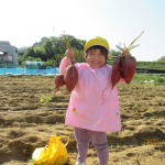 お芋掘り　あやか